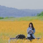 My Lovely Journey: корейський серіал про пошуки себе після K-pop